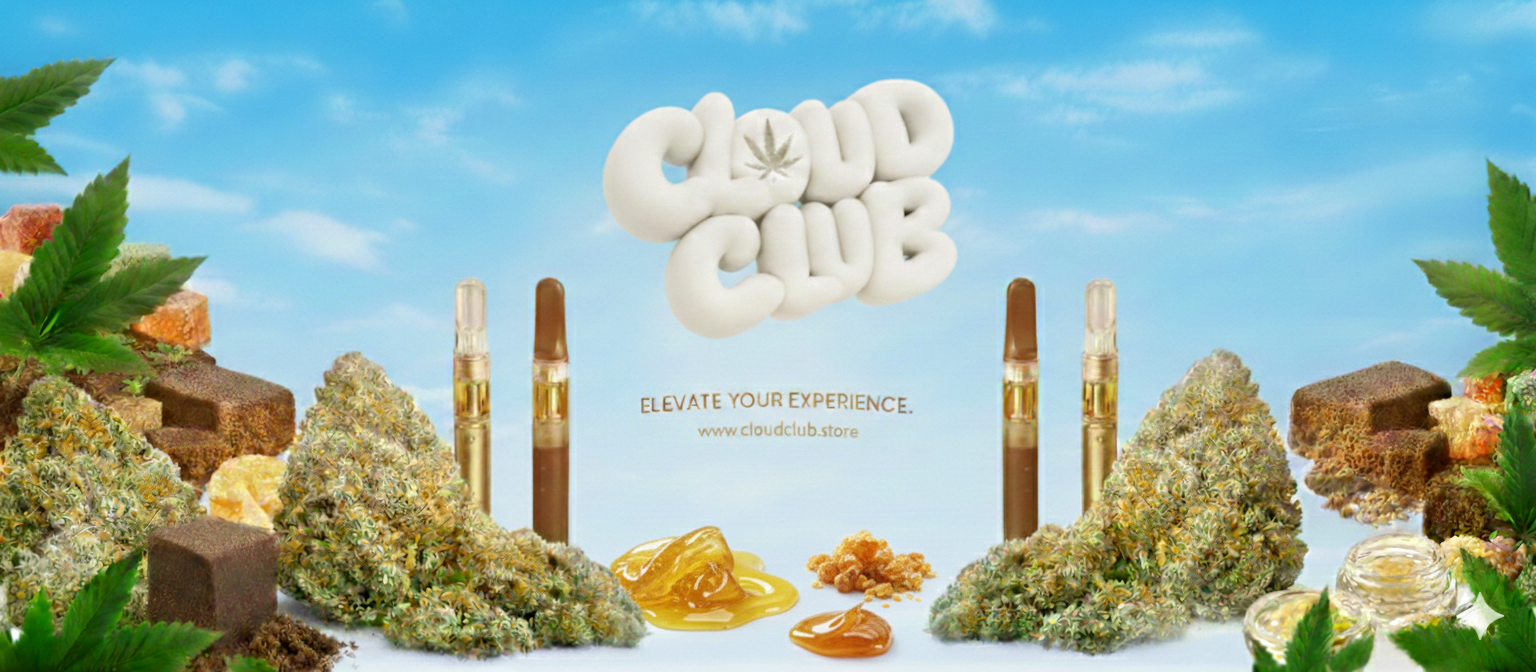 Gemini_Generated_Image_py763xpy763xpy76