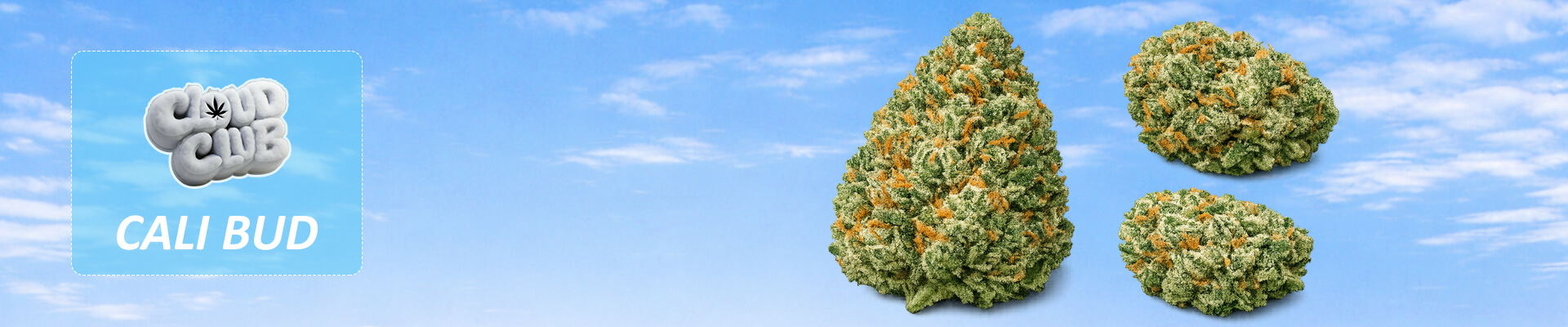 Cali Bud