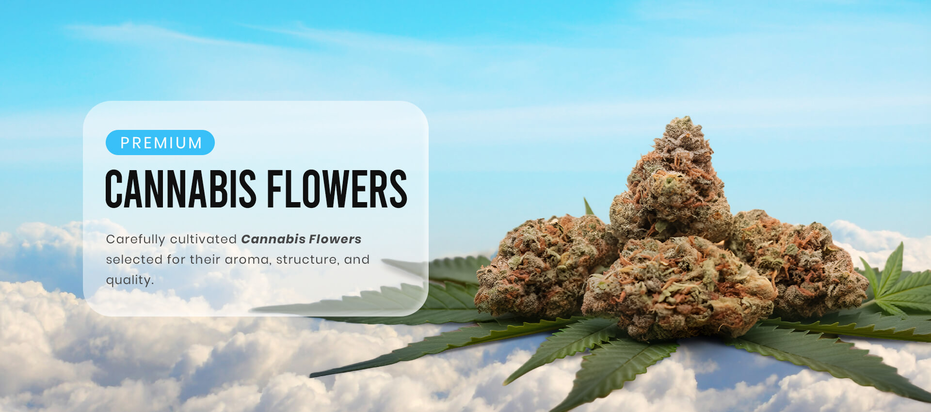 flower-banner-new-desktop