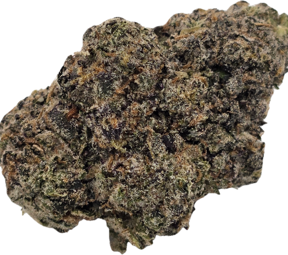 Gello Shotz (Premium Exotics)