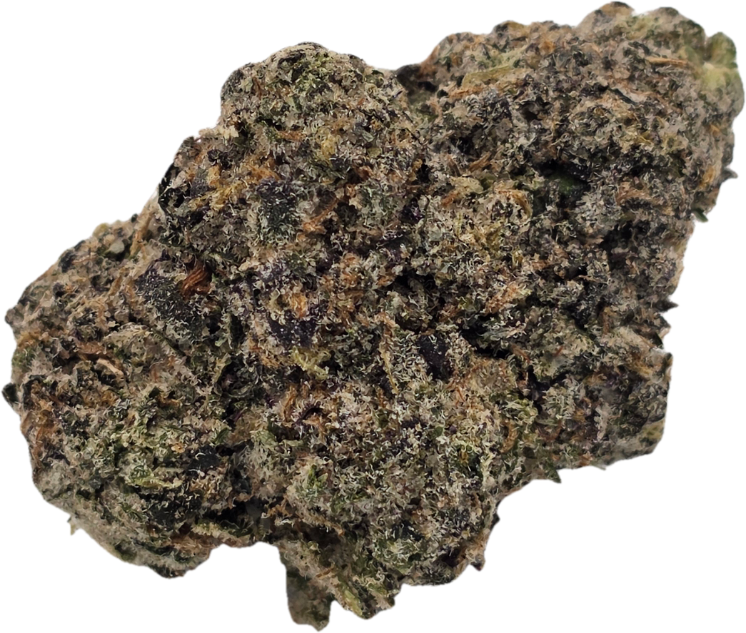 Gello Gello Shotz (Premium Exotics) - Image 1