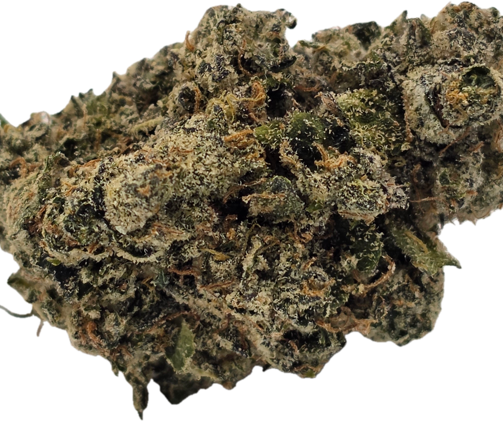 Sakura (Premium Exotics)