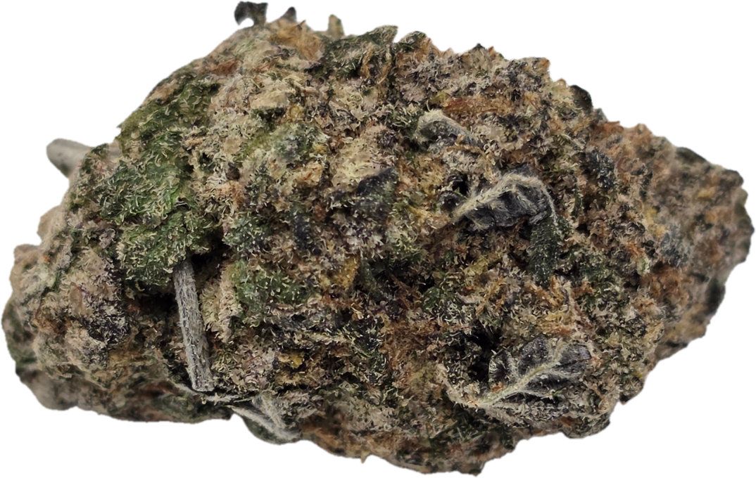 Pineapple Jet Pineapple Jet - Image 1