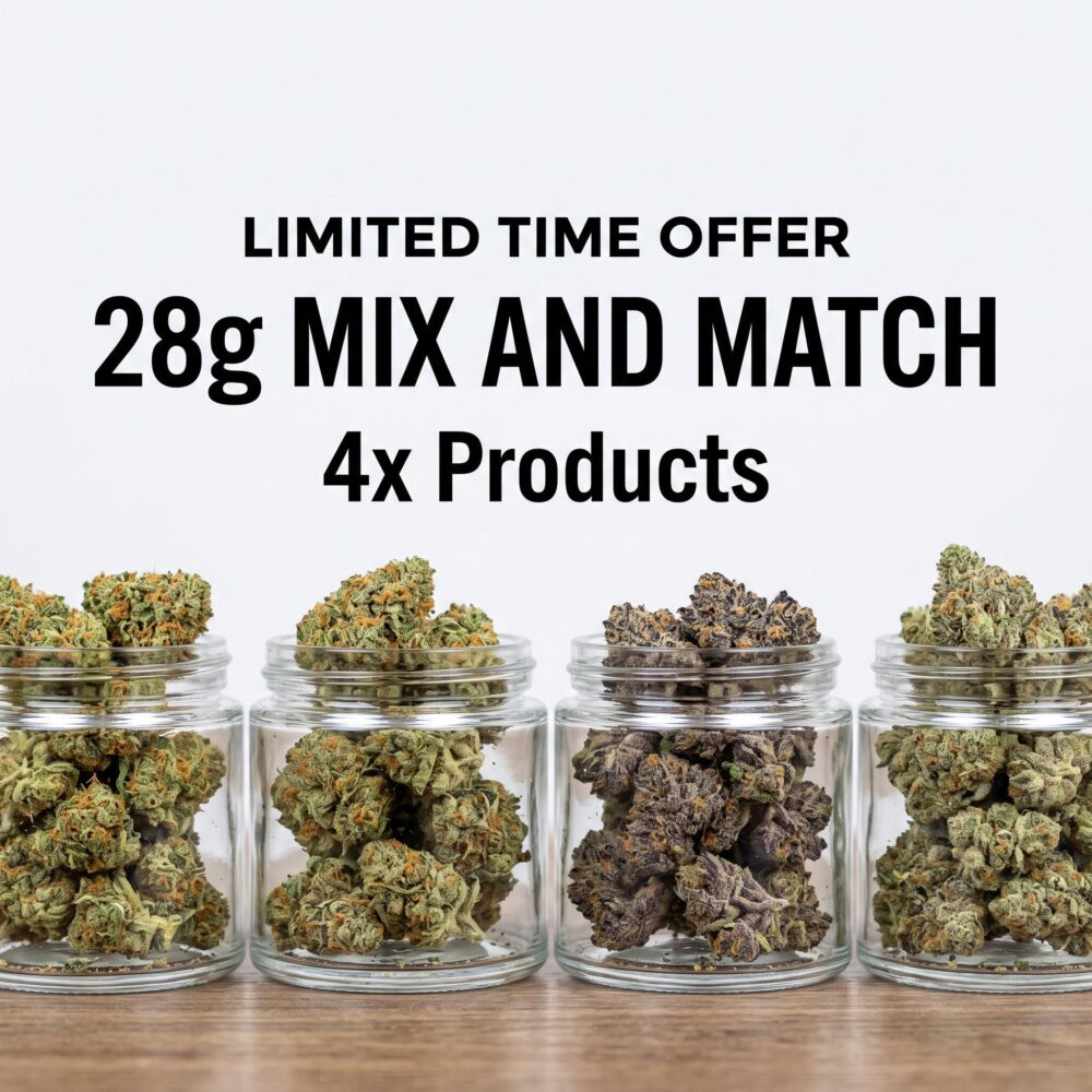 28g Mix and Match